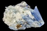 Vibrant Blue Kyanite Crystal Cluster - Brazil #113483-1